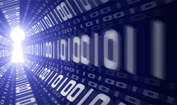 Los actos de la Sección Segunda (I): El conocimiento efectivo