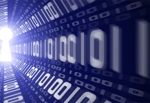 Los actos de la Sección Segunda (I): El conocimiento efectivo